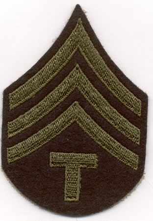 Sleeve Chevron indicating Technical rank
